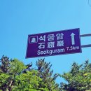 라라랜드 애견 펜션 이미지