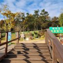 진도개 53카페 이미지