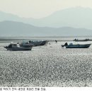 한반도 수산 이미지