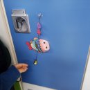 한솔초교 이미지