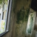 가가동물원 | 대만 은하동 포함 택시투어 내돈내산 후기 ｜은하동, 스펀, 허우통