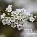 서로지을 이미지
