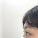 소소히브로우 이미지