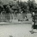 진군농장 이미지