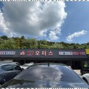 에스제이모터스 이미지