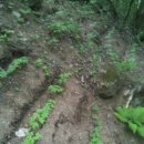 계곡품은펜션 이미지