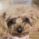 커피그래비티(권곡동점) 이미지