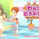 멍냥동물병원 이미지