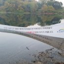 18.04.21 결코 쉽지만은 않았던 대청호