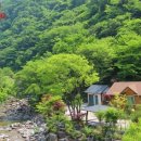 지지마루 민박 이미지