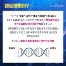 더클라 이미지