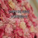 수영동월드센텀빌딩 | 펀투주짓수 실방문후기