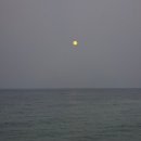 1박2일 불짬뽕 | 일산에서 강릉 1박2일 혼여행 ⛱️