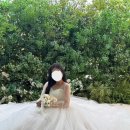 [w.52]베뉴지 홀패키지 후기 :: S스튜디오 웨딩촬영 후기(에스스튜디오) 새로운 배경 컨셉 공유