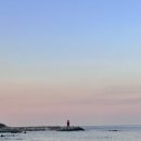 감포 바다 앞 민박 이미지