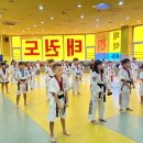 액티브경희태권도장 이미지
