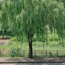 감성전주 이미지