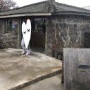 비도씨로스터스