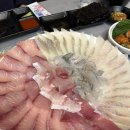숙이네수산 네이버블로그