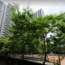 금양미래유치원 이미지