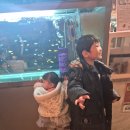 김밥나라(세종점) | 세종 쥬라리움 후기｜동물은 괜찮고, 키카는 아쉬웠다