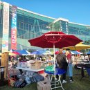 예술이네 이미지