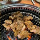 탐라우돈 이미지