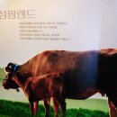 한독농장 네이버블로그