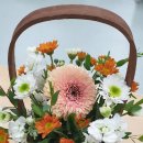 신기초교병설유치원 이미지