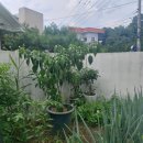 하양공인중개사사무소 이미지