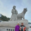 진도신비두부 이미지