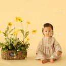 다온스튜디오 네이버블로그
