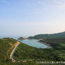 비금 이미지