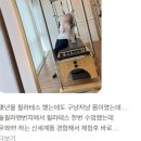 온필라앤번지 | 15년 티칭경력 물리치료사,운동전문가에게 배우는 마린시티필라테스 솔필라앤번지 후기