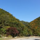 아르고 스포츠
