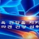 늙어가는 아름다움에 관(關)하여 이미지