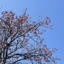 하얀별 민박 이미지