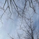 계림면옥 이미지