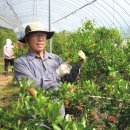 에덴환경산업 이미지