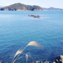 파도가머무는정원 이미지