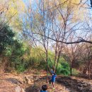 한울숲유치원 이미지