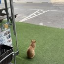 지에스25안면백사장항점 이미지