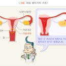 서초봄산부인과의원 이미지