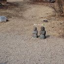 매화1 | [군위] 사유원 봄 매화축제 동행 산책 프로그램 방문 후기(1)