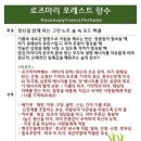포레스트스킨앤바디 이미지