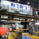 쭈꾸미랑바다친구들 이미지