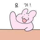 발도스커피석남점 네이버블로그