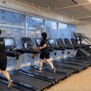 젬스톤 피트니스 이미지