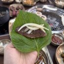 국동농장 이미지