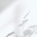 그리나영